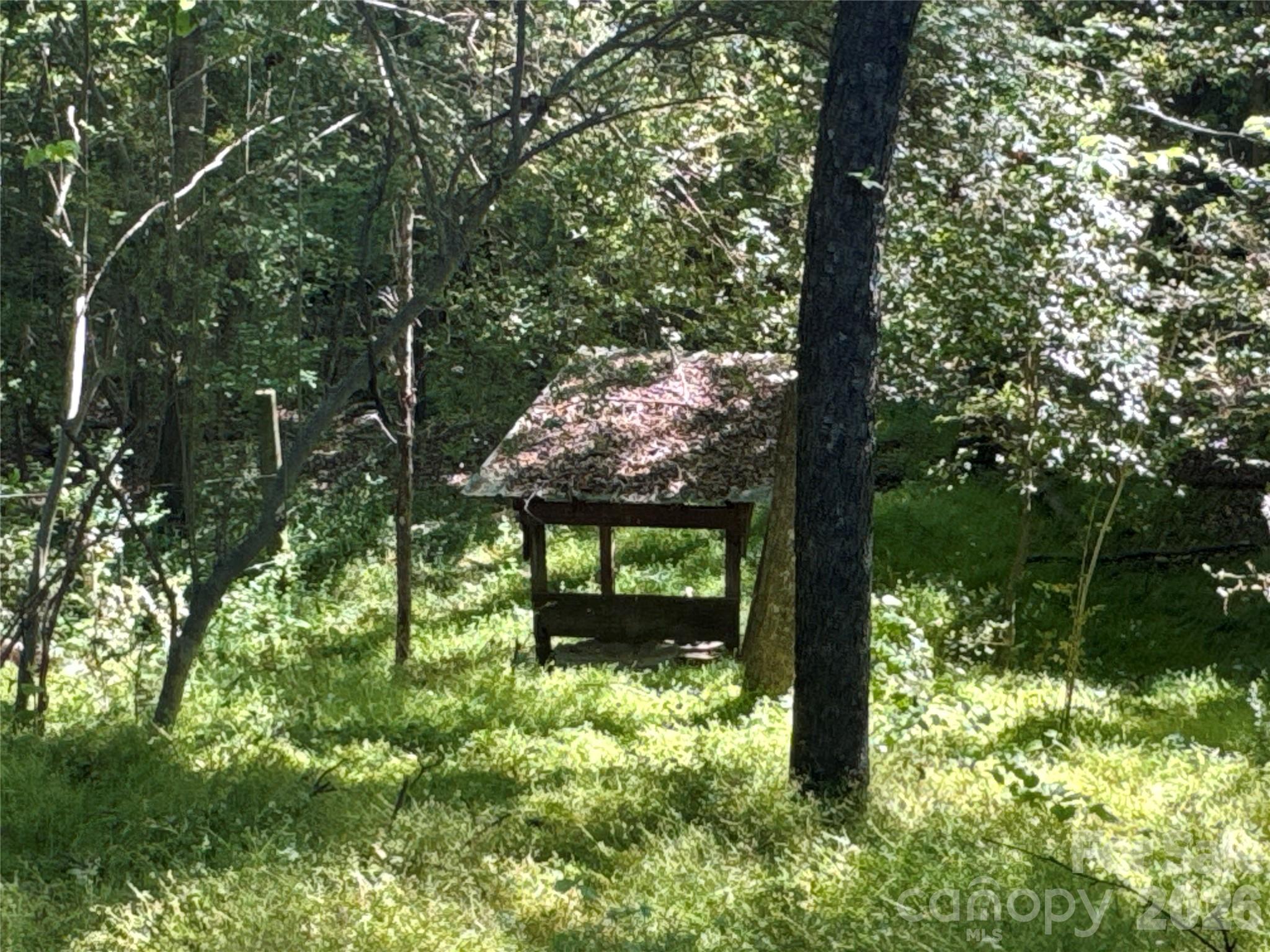 0 Casar Road Casar, NC 28020 - Photo 7 of 16