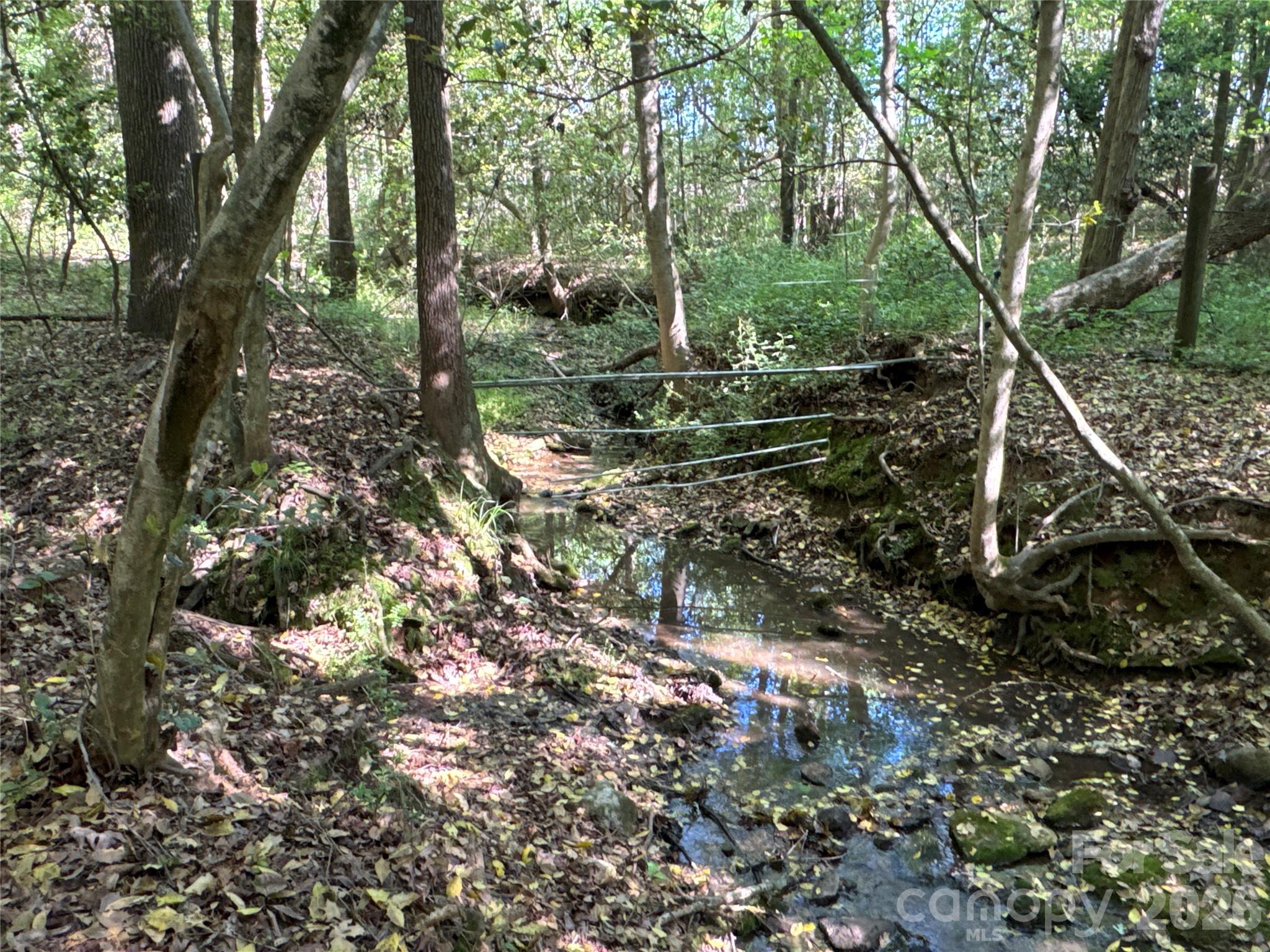 0 Casar Road Casar, NC 28020 - Photo 9 of 16