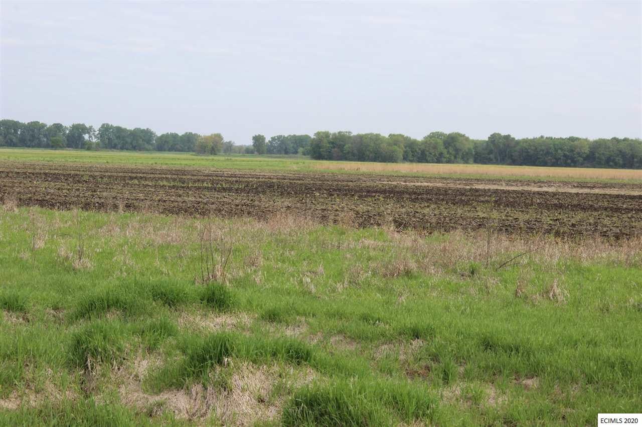 Green Island Road Miles, IA 52064 - Photo 4 of 7 Gallery Image 4