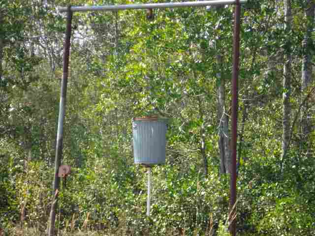 3101 Southwest Hike Lake Road, Unit NONE Madison, FL 32340 - Photo 3 of 23 Gallery Image 3