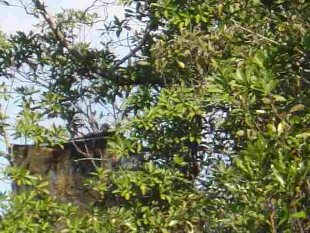 3101 Southwest Hike Lake Road, Unit NONE Madison, FL 32340 - Photo 5 of 23 Gallery Image 5