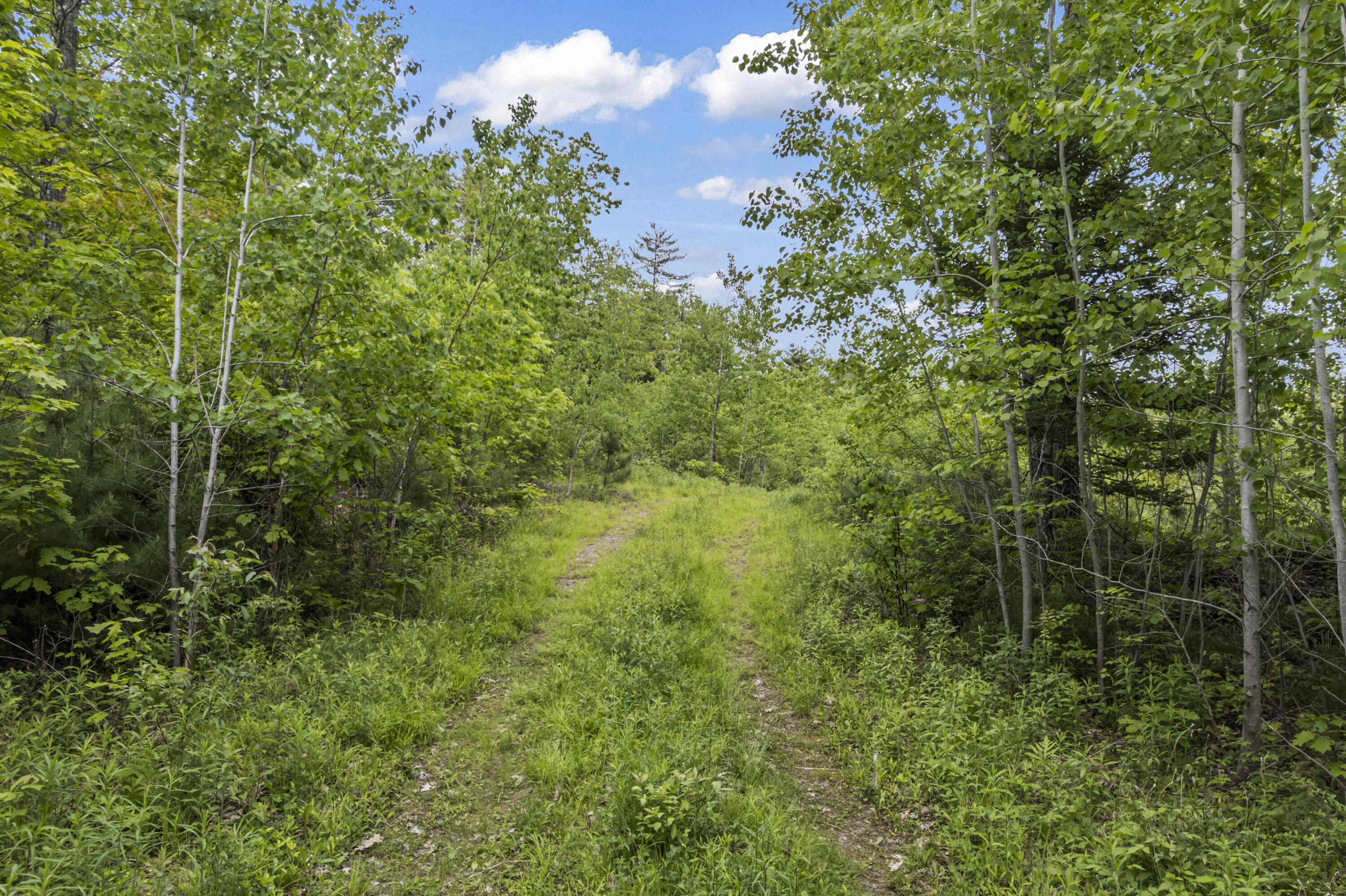 M9 Lot2/5 Middle Road Dresden, ME 04342 - Photo 4 of 11 4
