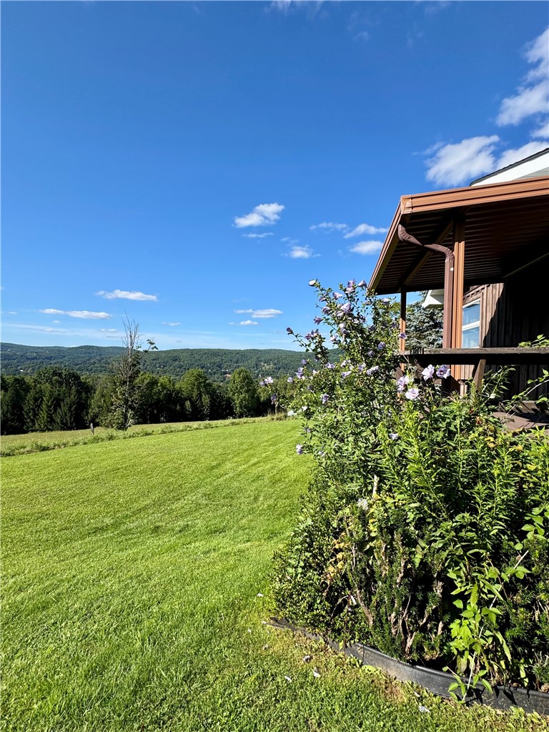 988 Swart Hollow Road Oneonta, NY 13820 - Photo 36 of 47 Gallery Image 36