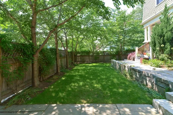 a view of a backyard with plants and large trees