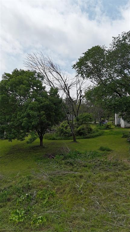 7159 Base Street Azle, TX 76020 - Photo 4 of 5 a view of grassy field with trees