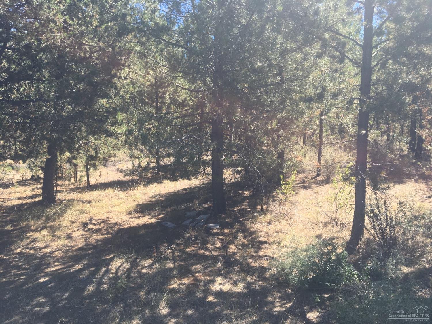 53443 Pole Pine Road La Pine, OR 97739 - Photo 21 of 23 Additional Photo
