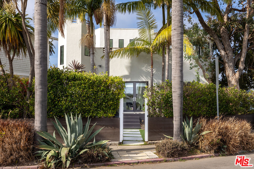 a view of a palm trees front of house