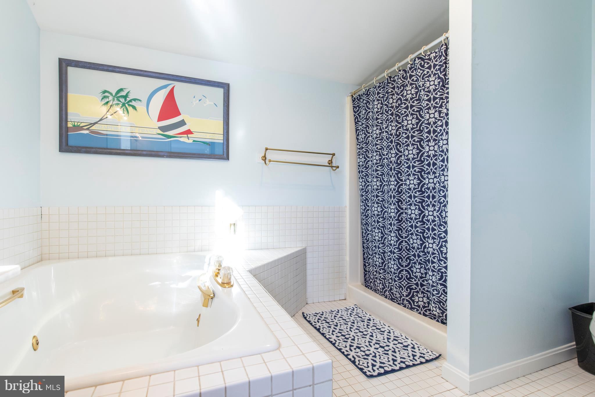 246 Marlborough Road Kennett Square, PA 19348 - Photo 17 of 31 Master Bath