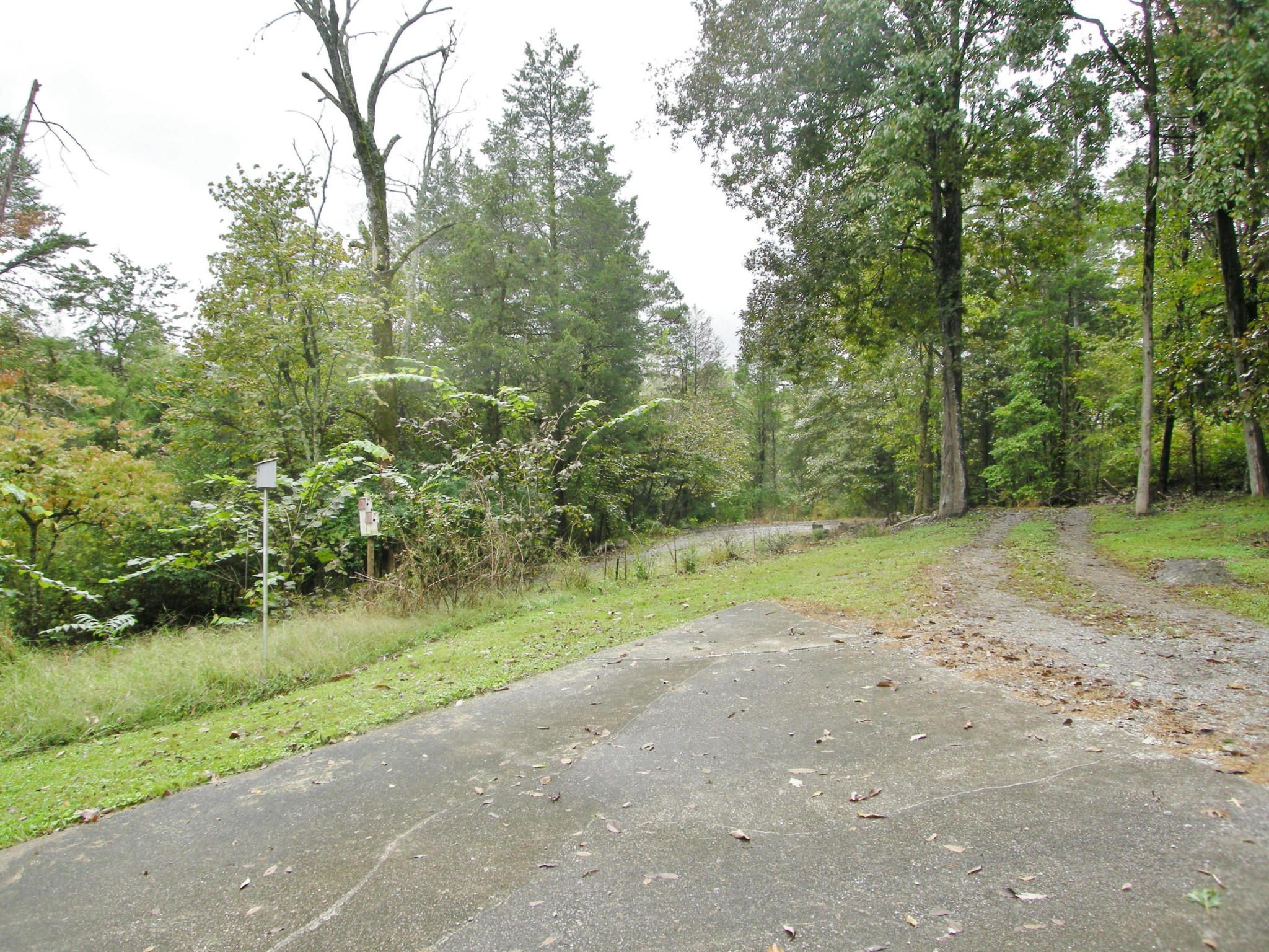 4074 Quarry Road Louisville, TN 37777 - Photo 20 of 21 Gallery Image 20