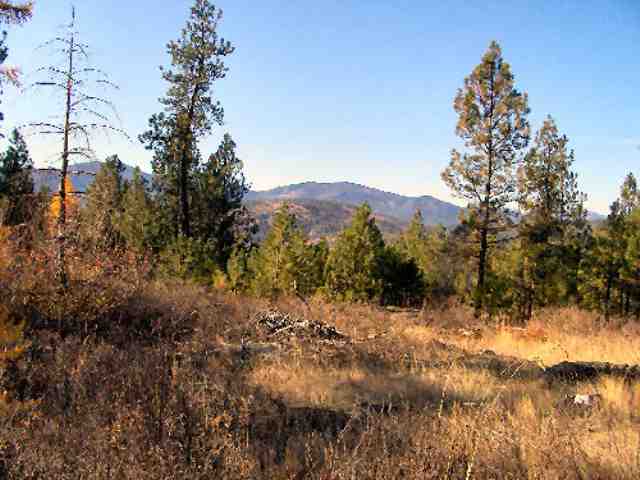 1132-tbd Philleo Road Addy, WA 99101 - Photo 3 of 7 Gallery Image 3