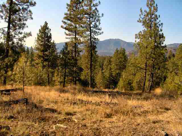 1132-tbd Philleo Road Addy, WA 99101 - Photo 4 of 7 Gallery Image 4