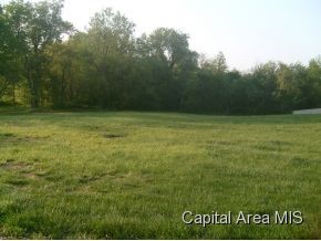 27451 East County Line Road Waggoner, IL 62572 - Photo 13 of 13