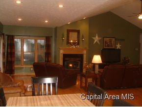 27451 East County Line Road Waggoner, IL 62572 - Photo 4 of 13