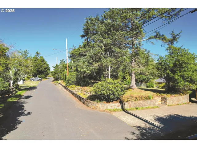 a view of a yard with pathway