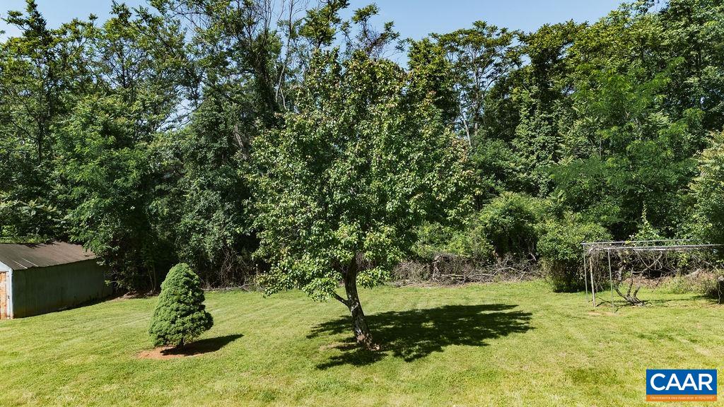 1877 Afton Mountain Road Afton, VA 22920 - Photo 45 of 60