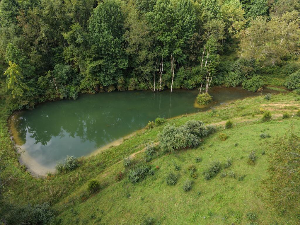 458 Shale Bank Road Marion, VA 24354 - Photo 29 of 115 Gallery Image 29