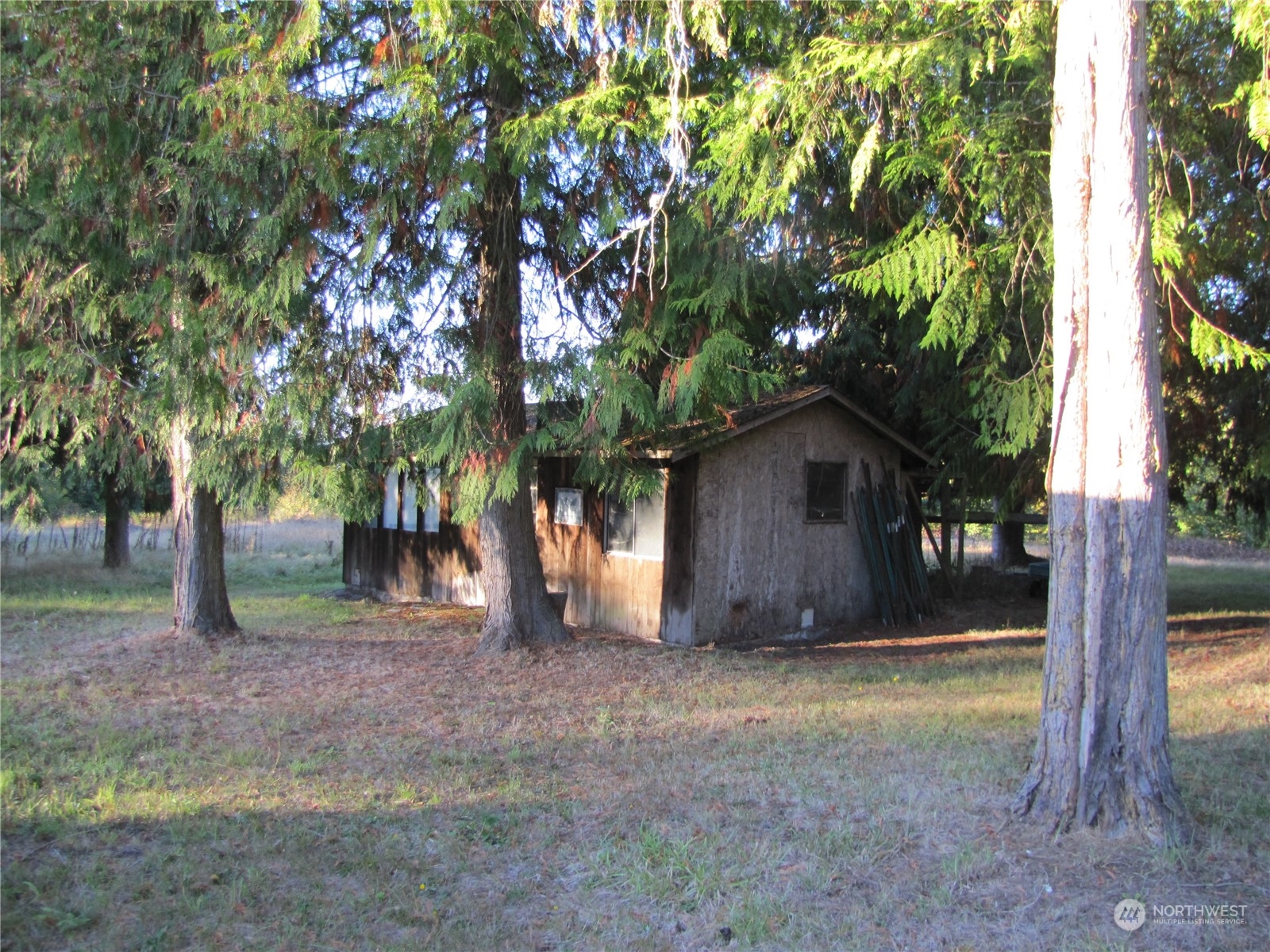 252 Lavender Ridge Lane Sequim, WA 98382 - Photo 23 of 28 a house view with a tree in front of it