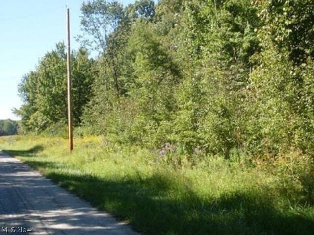 V/l Wygle Road Ravenna, OH 44266 - Photo 2 of 3