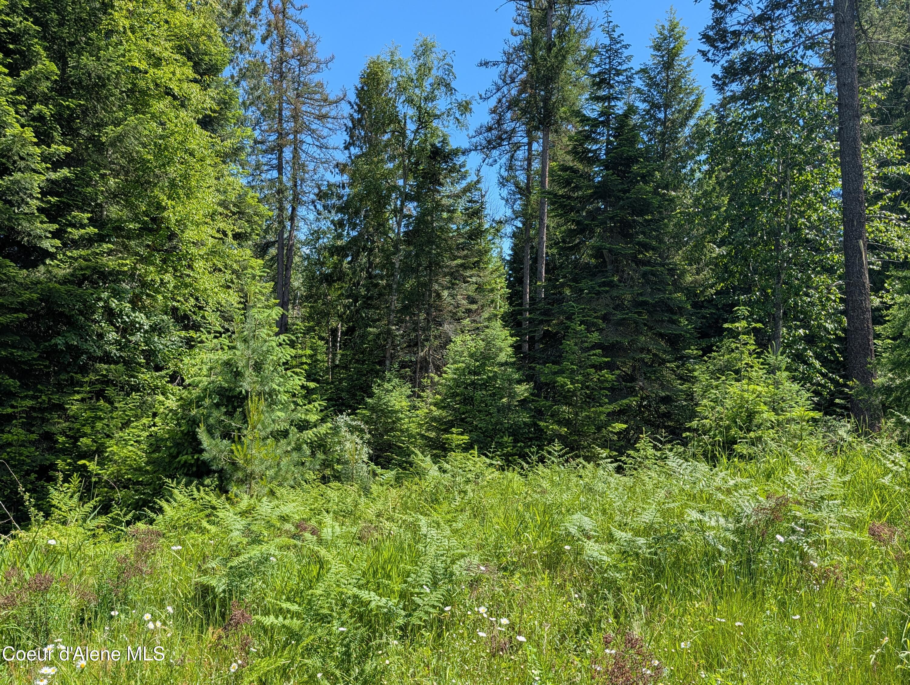 1193 Hidden Valley Road Sandpoint, ID 83864 - Photo 10 of 20 PXL_20260613_214856295