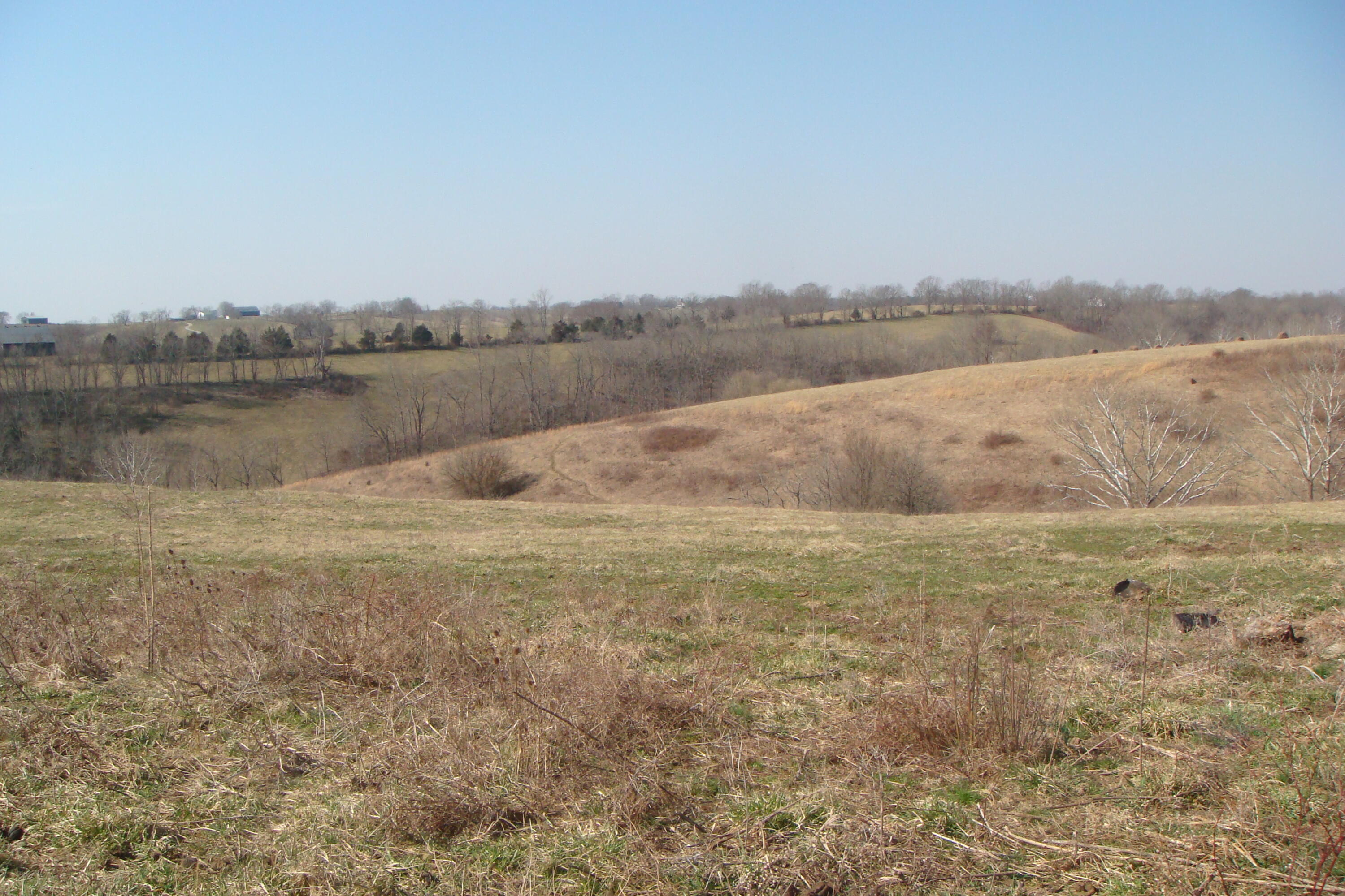 4037 Howards Mill Road Mount Sterling, KY 40353 - Photo 13 of 26 DSC07573