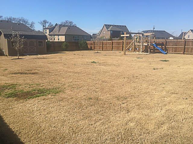 1242 Rimrock Road Smyrna, TN 37167 - Photo 25 of 28 Large, flat, fenced yard - storage shed and playset stay!