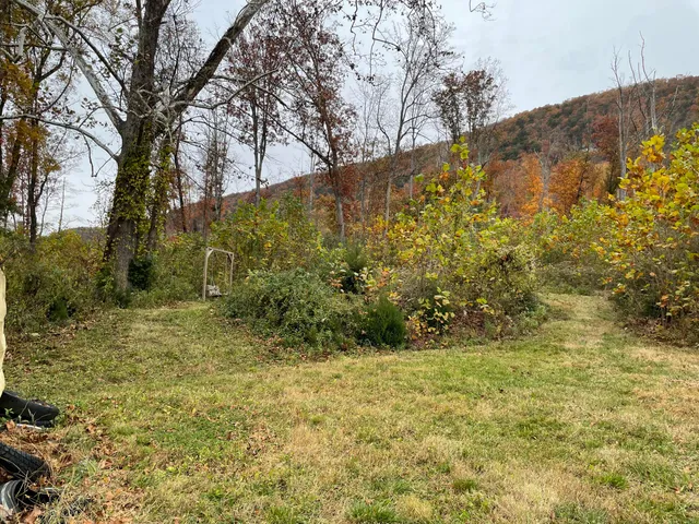 a view of outdoor space and a yard