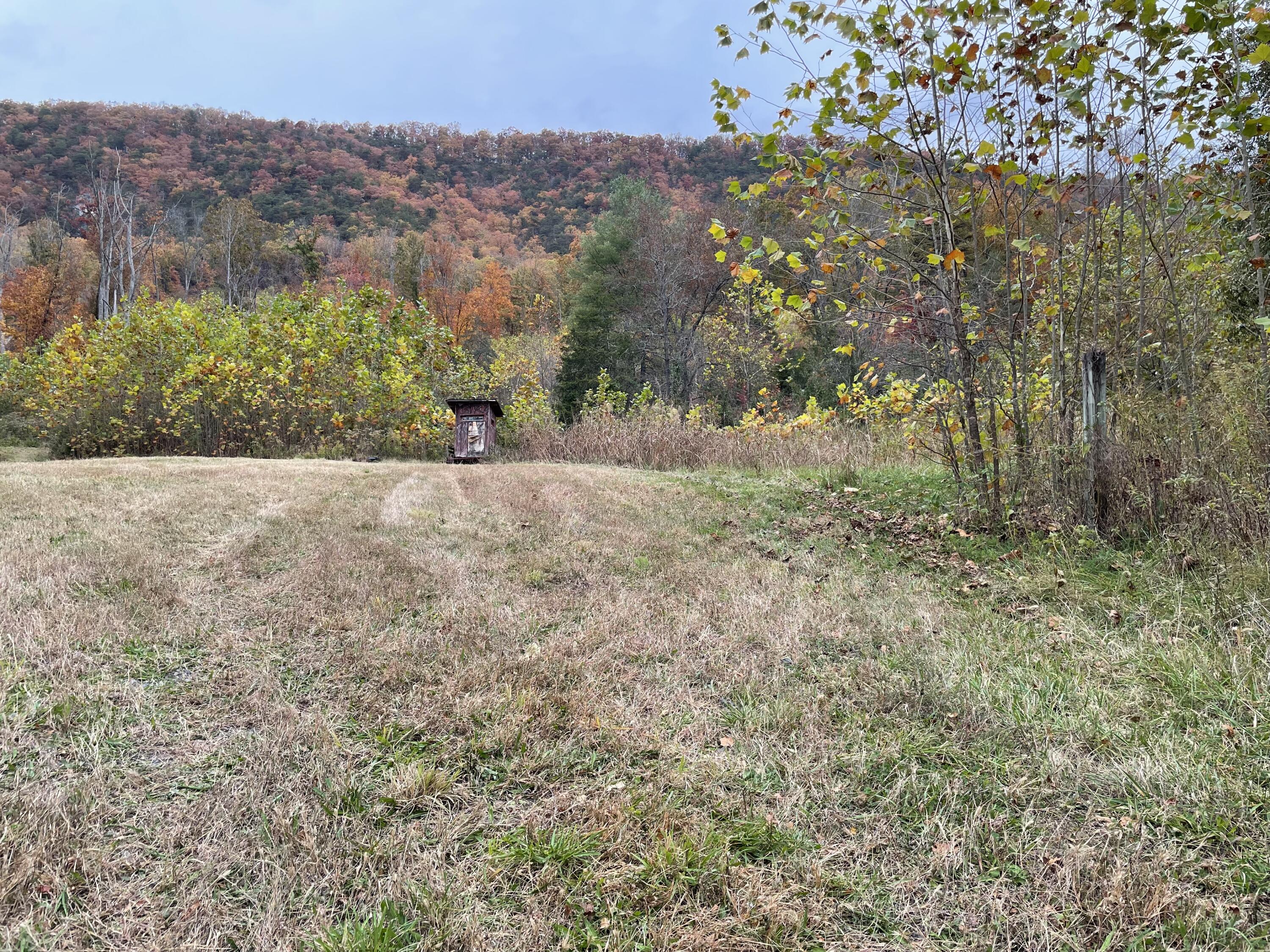 5829 Bradshaw Road Salem, VA 24153 - Photo 13 of 35 a view of a yard with plants and a bench