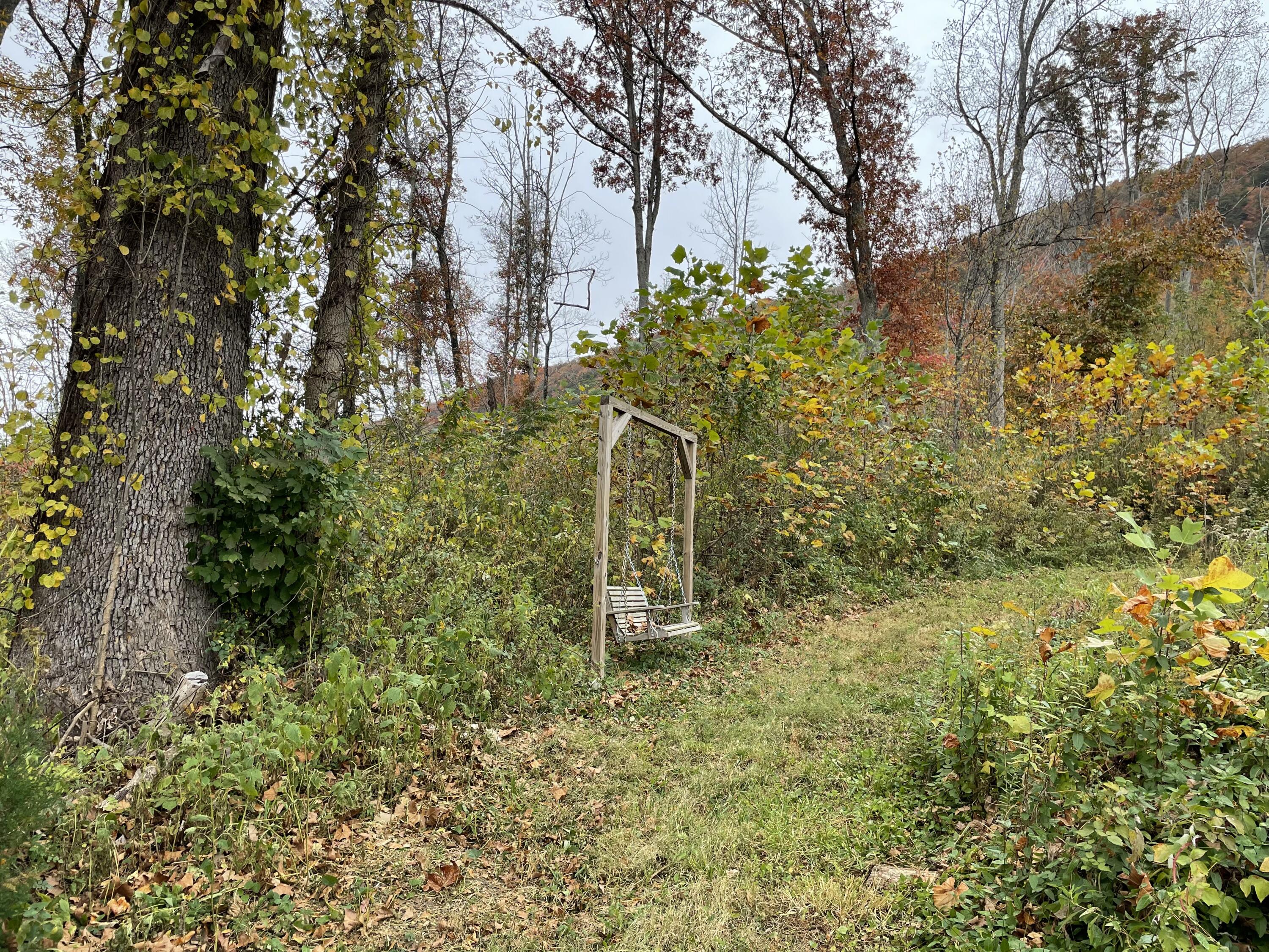 5829 Bradshaw Road Salem, VA 24153 - Photo 19 of 35 a plant that is in front of a building