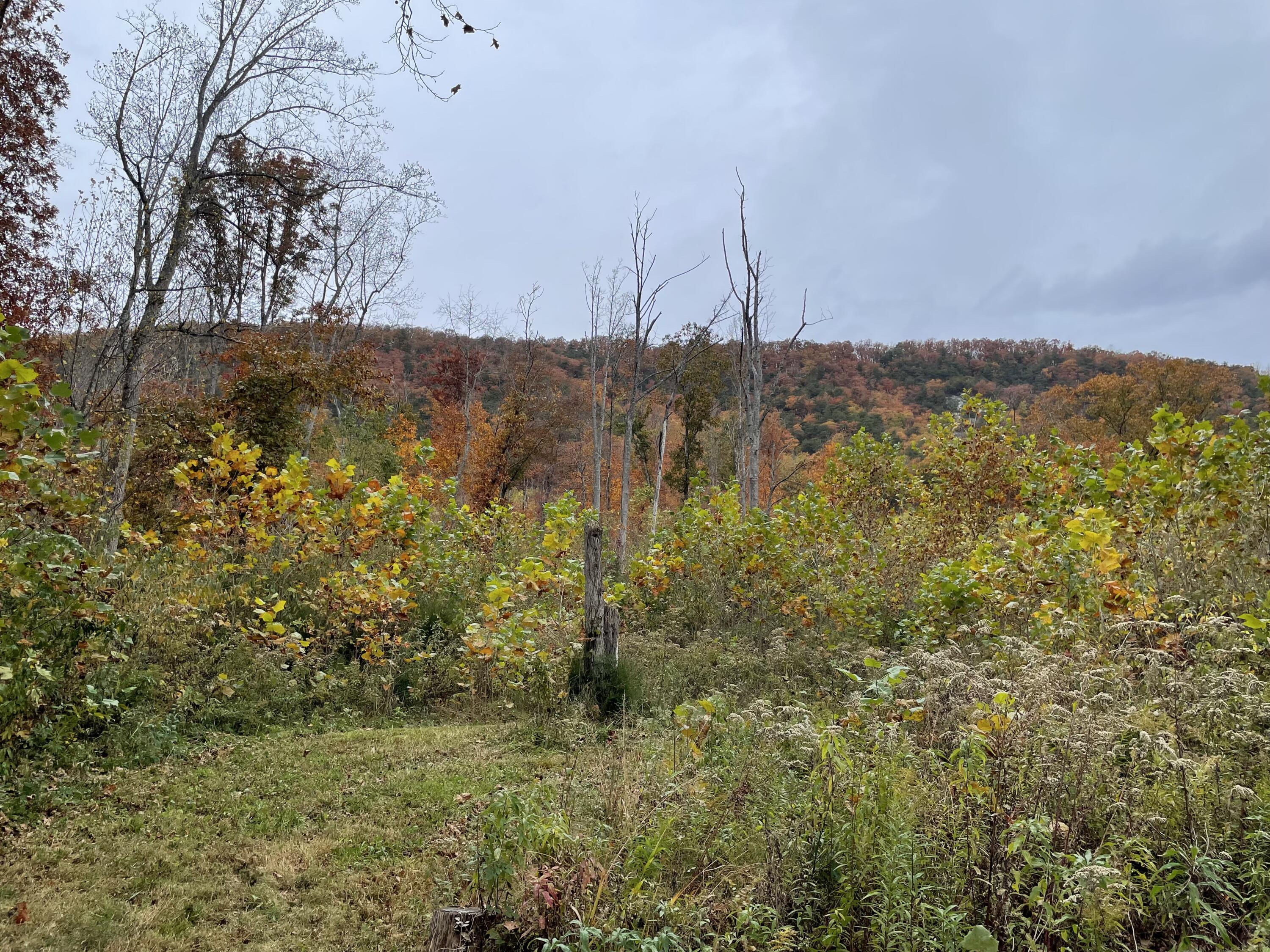 5829 Bradshaw Road Salem, VA 24153 - Photo 20 of 35 a view of ocean
