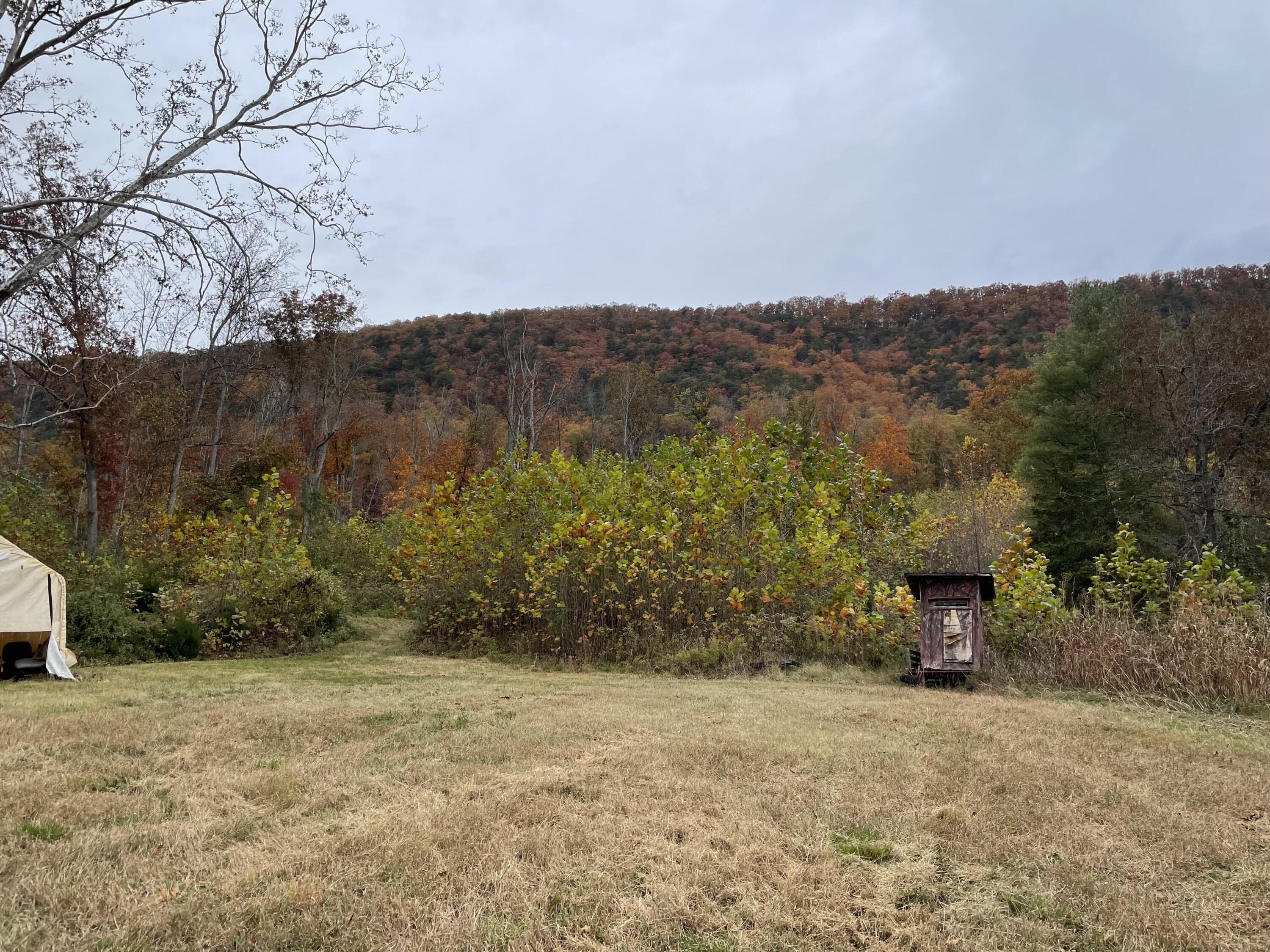 5829 Bradshaw Road Salem, VA 24153 - Photo 2 of 35 a view of a yard