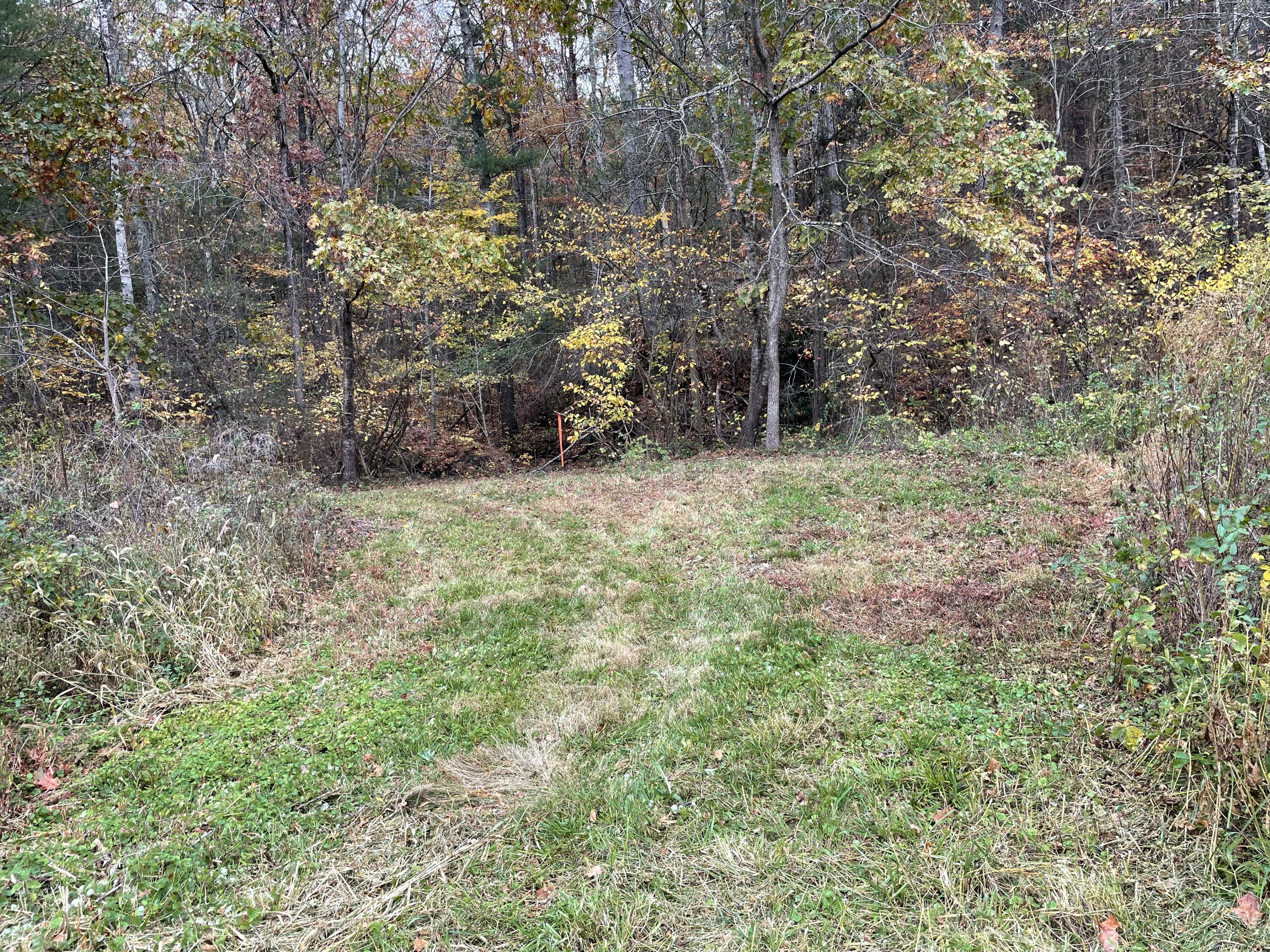 5829 Bradshaw Road Salem, VA 24153 - Photo 22 of 35 a backyard of a house with lots of green space