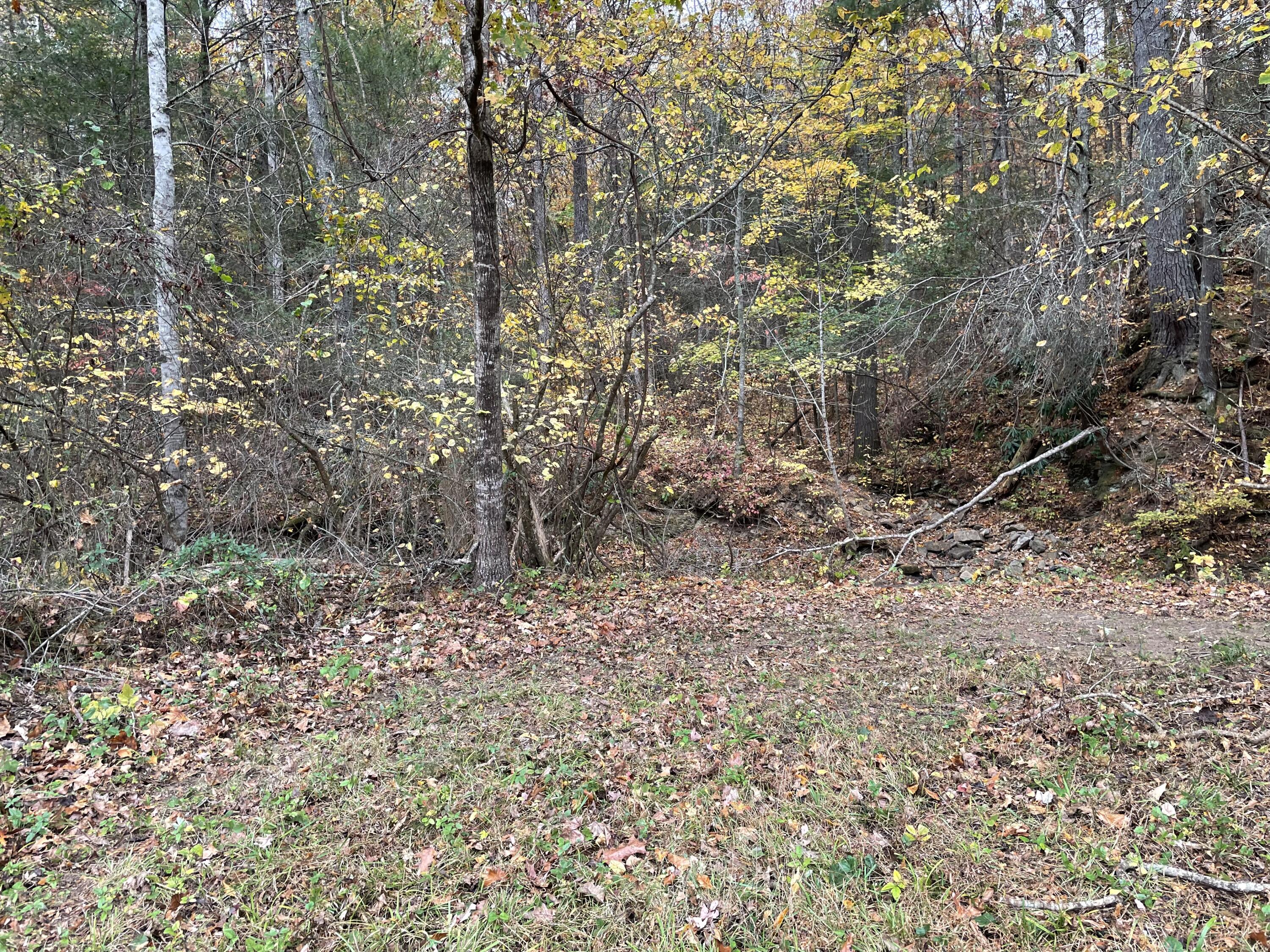 5829 Bradshaw Road Salem, VA 24153 - Photo 23 of 35