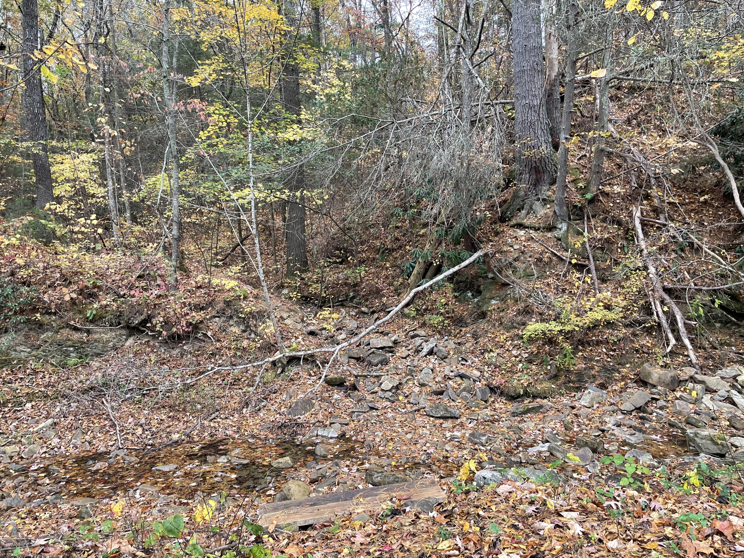 5829 Bradshaw Road Salem, VA 24153 - Photo 24 of 35 a view of a forest with a tree