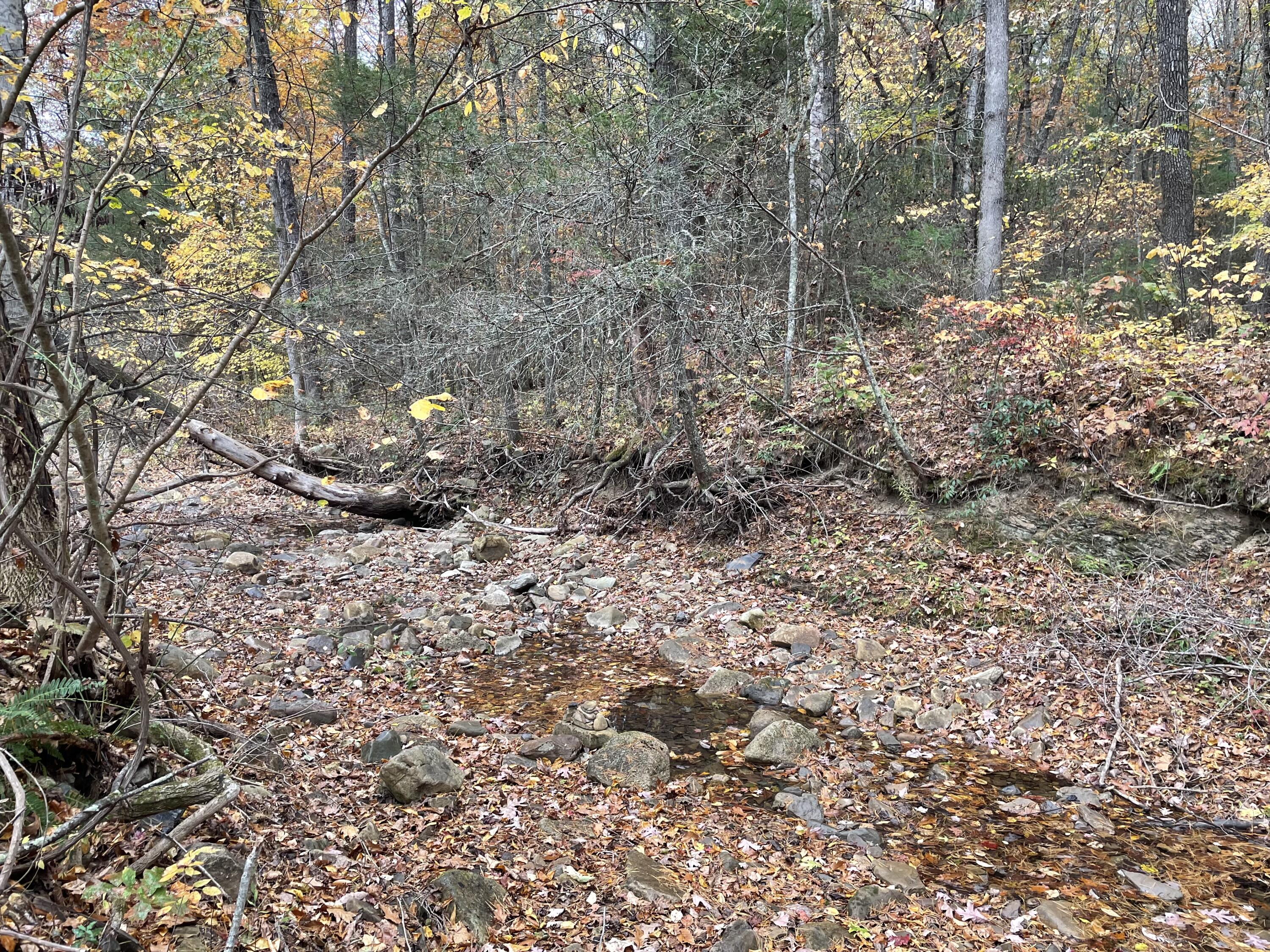 5829 Bradshaw Road Salem, VA 24153 - Photo 25 of 35 a view of a forest with a tree
