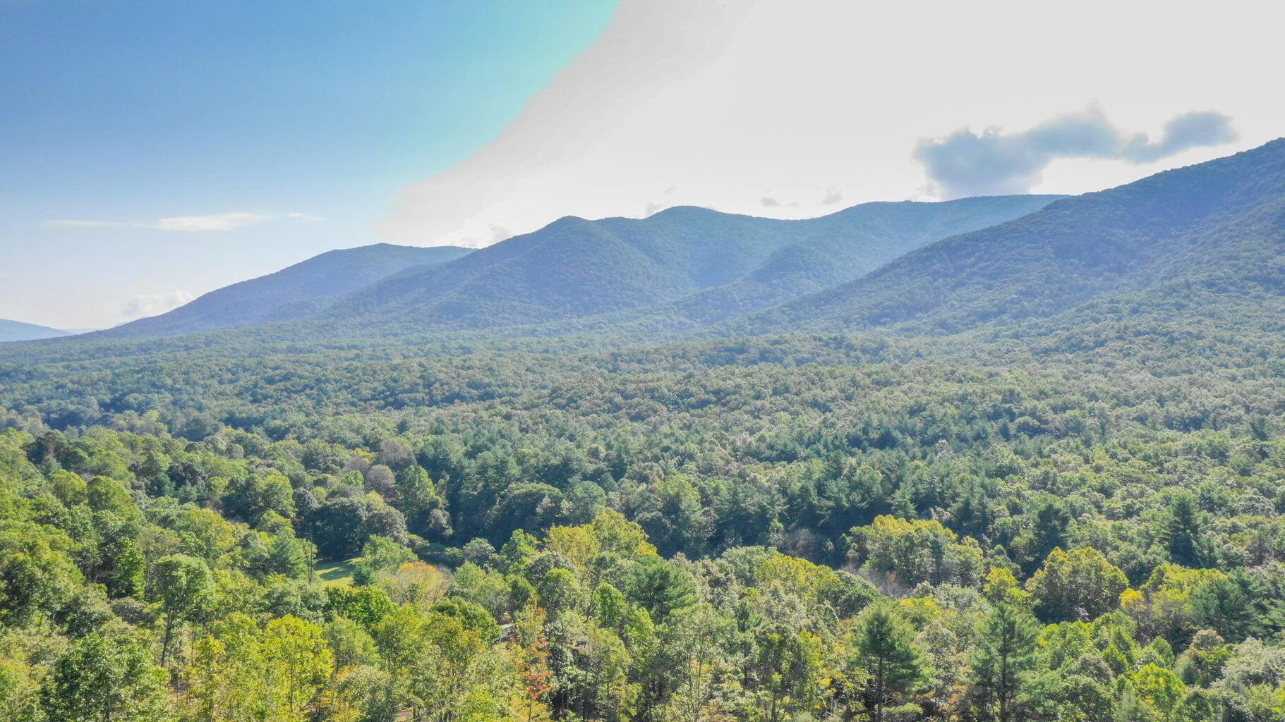5829 Bradshaw Road Salem, VA 24153 - Photo 28 of 35 a view of a lush green hillside and a houses