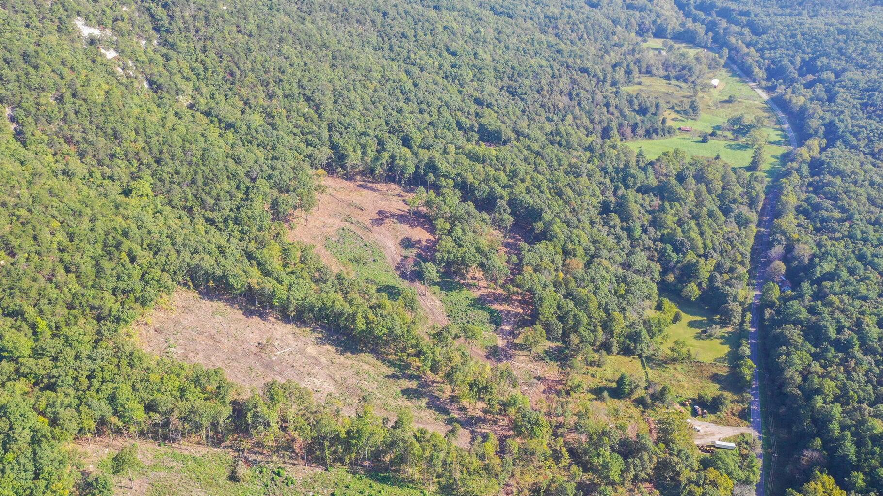 5829 Bradshaw Road Salem, VA 24153 - Photo 29 of 35 a backyard of a house with lots of green space