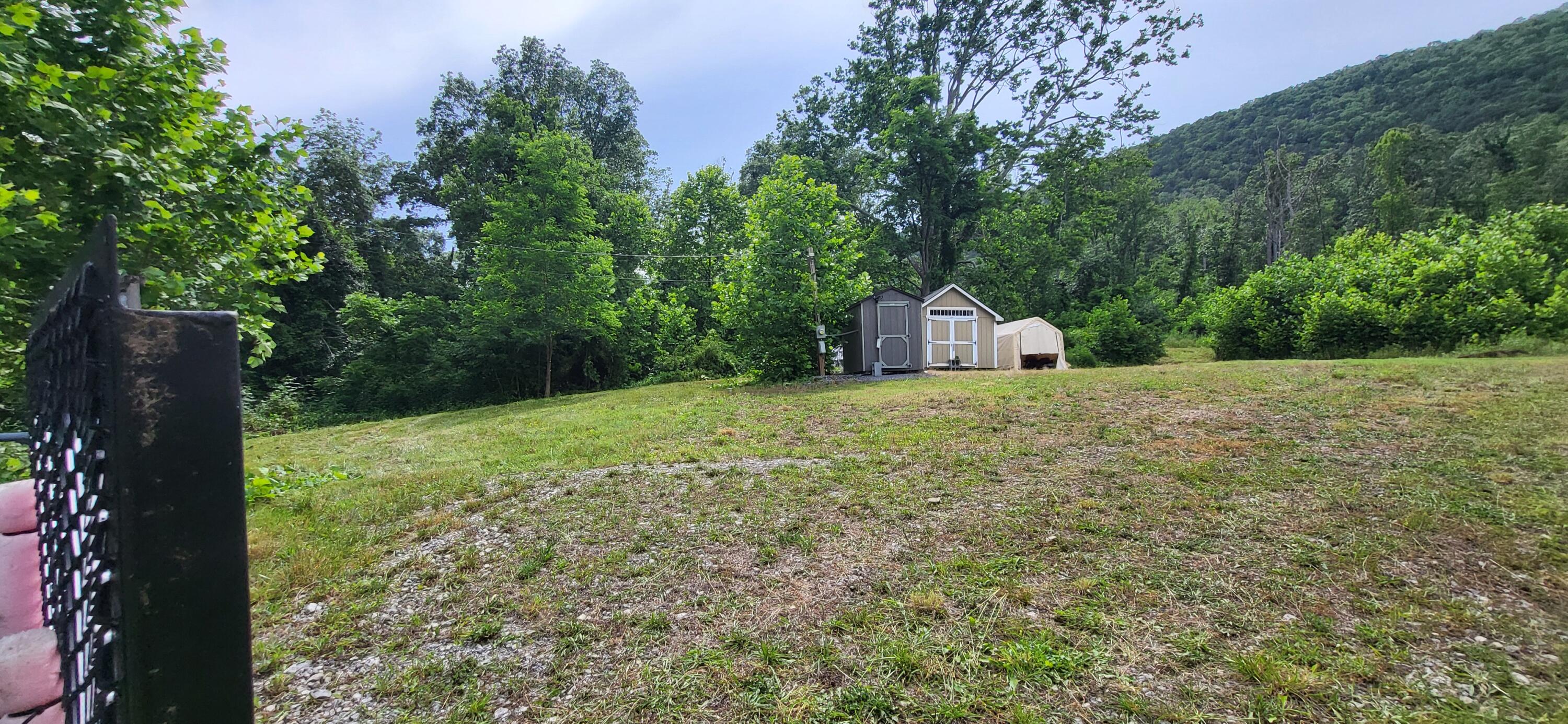 5829 Bradshaw Road Salem, VA 24153 - Photo 3 of 35 a view of a large tree with a yard