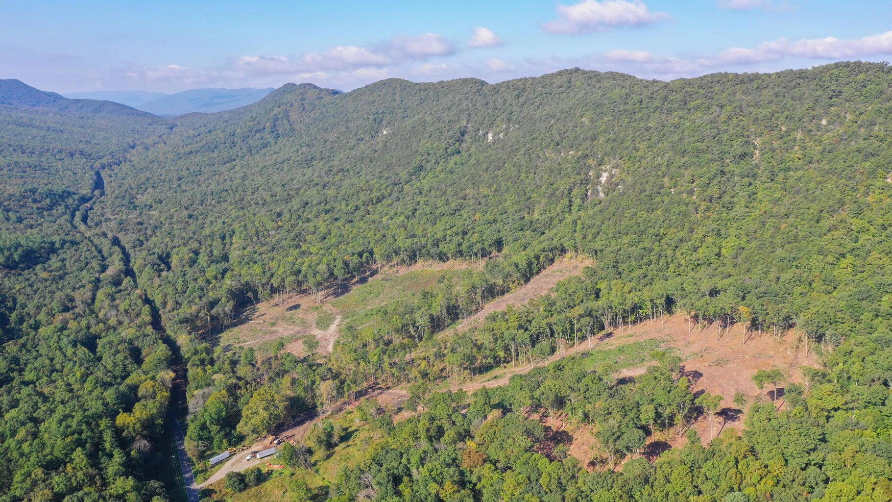 5829 Bradshaw Road Salem, VA 24153 - Photo 31 of 35 a view of a lush green hillside and a mountain