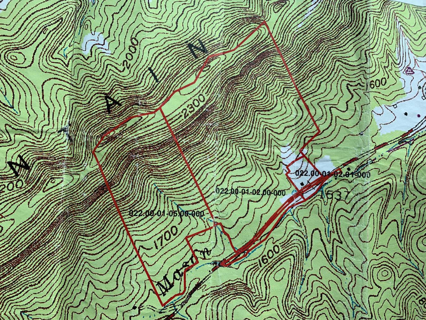 5829 Bradshaw Road Salem, VA 24153 - Photo 35 of 35 a close up of a plant in a garden