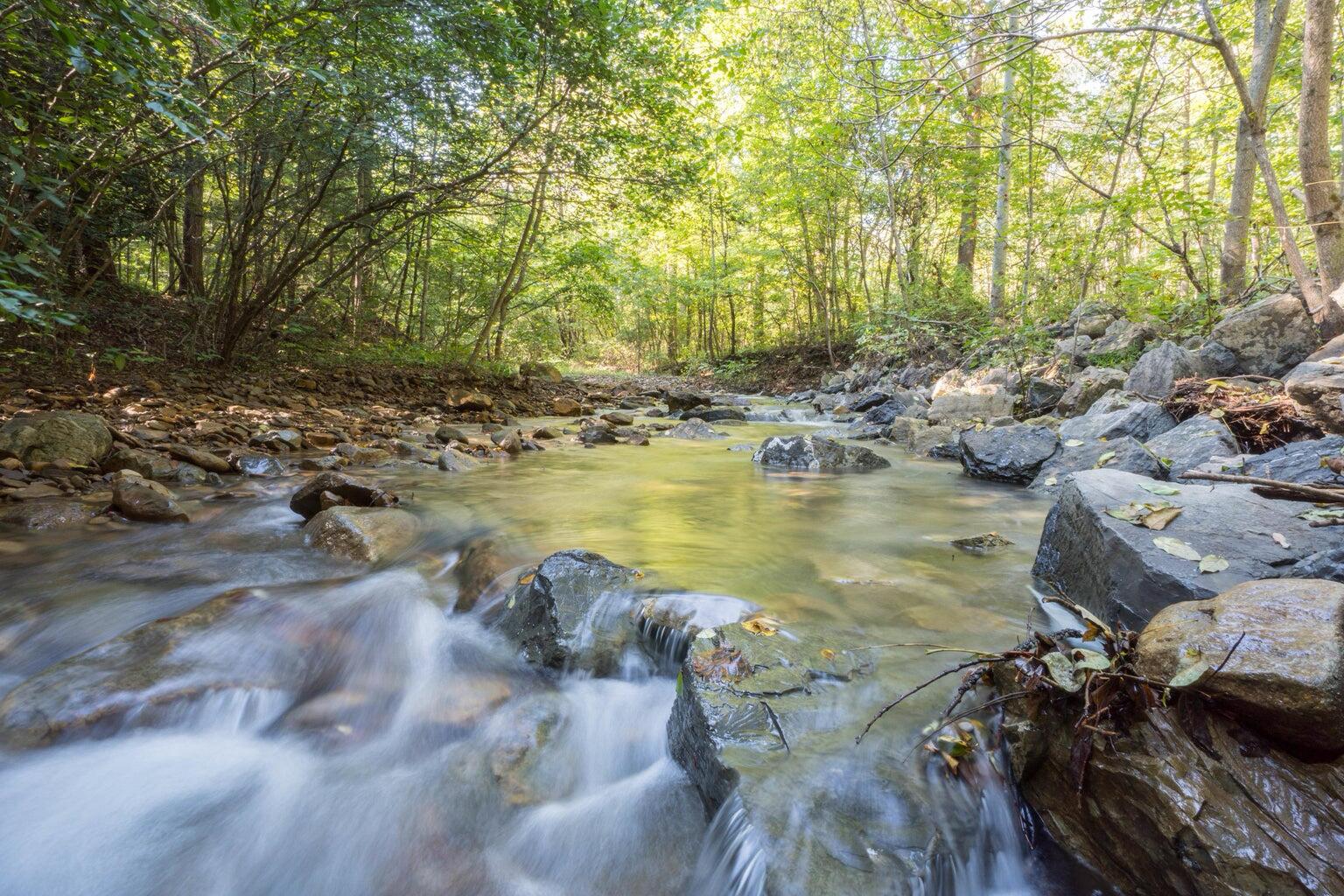 5829 Bradshaw Road Salem, VA 24153 - Photo 9 of 35 a view of a lake with houses