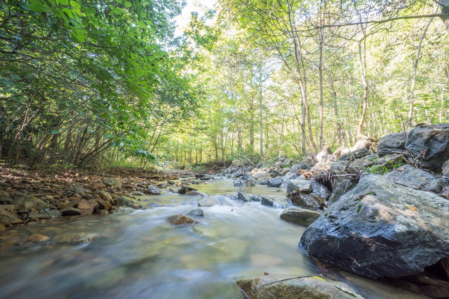5829 Bradshaw Road Salem, VA 24153 - Photo 10 of 35 a view of outdoor space with trees