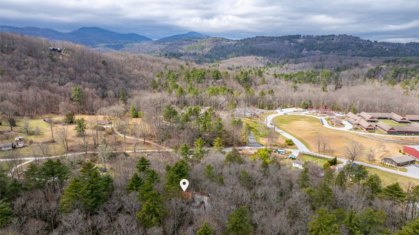 140 Timber Ridge Drive Cashiers, NC 28717 - Photo 9 of 61 Gallery Image 9