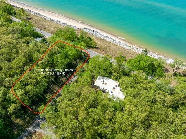 a view of a yard with plants