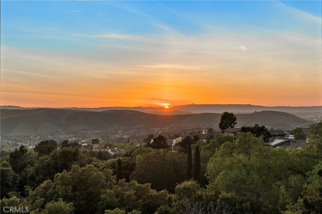 2 Galaxy Isle Ladera Ranch, CA 92694 - Photo 11 of 52 Gallery Image 11