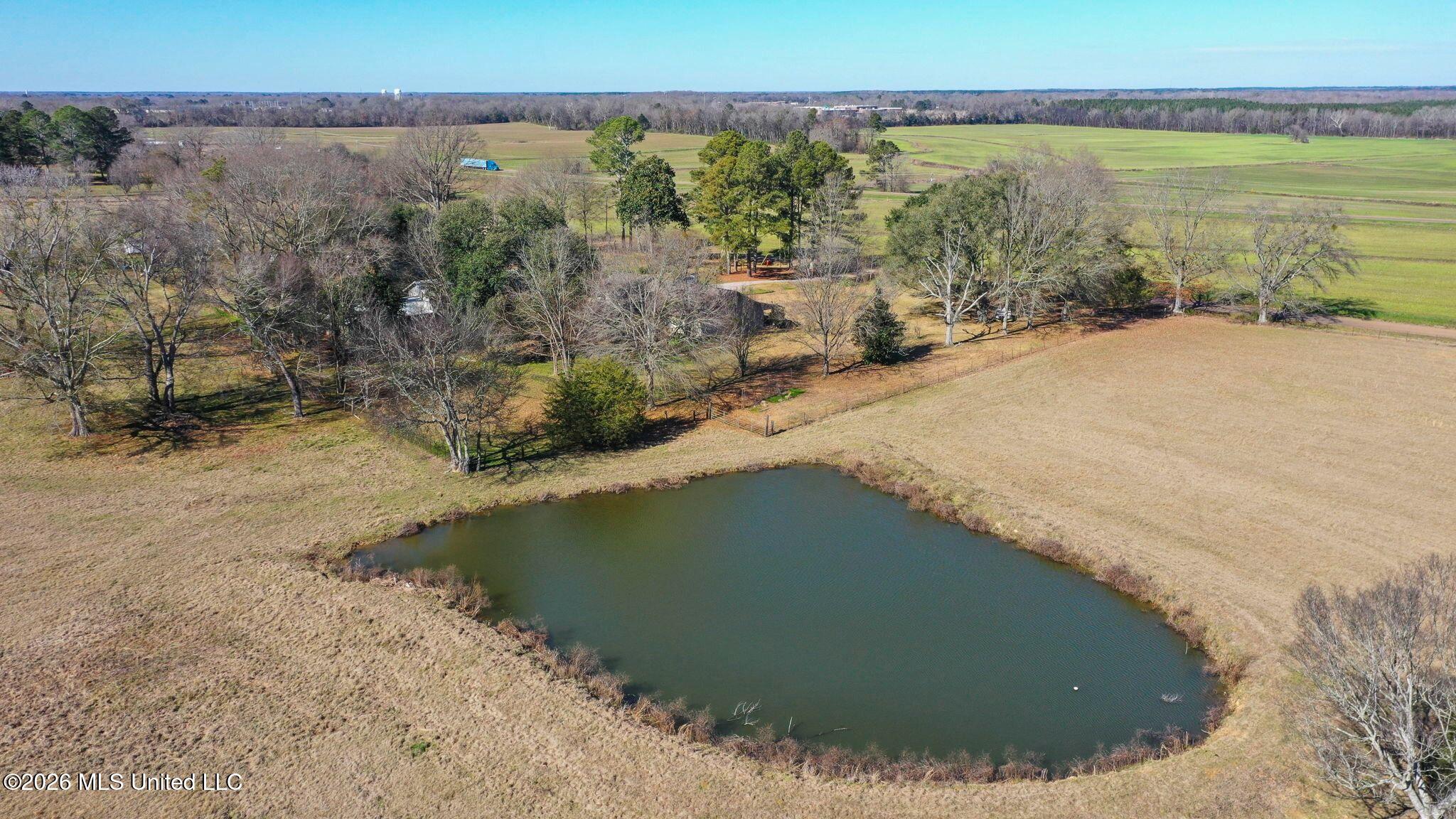 205 Avondale Road Canton, MS 39046 - Photo 7 of 8 80-web-or-mls-205 Avondale-74
