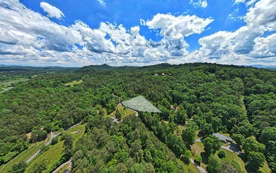 Katydid Road Mineral Bluff, GA 30559 - Photo 1 of 13 Main View