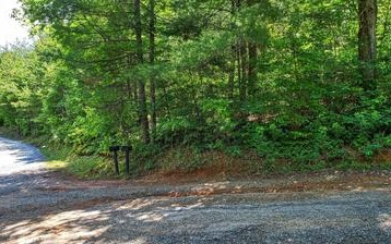 Katydid Road Mineral Bluff, GA 30559 - Photo 2 of 13 Additional View