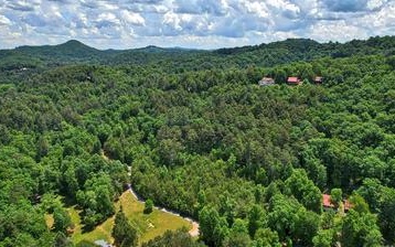 Katydid Road Mineral Bluff, GA 30559 - Photo 5 of 13 Additional View