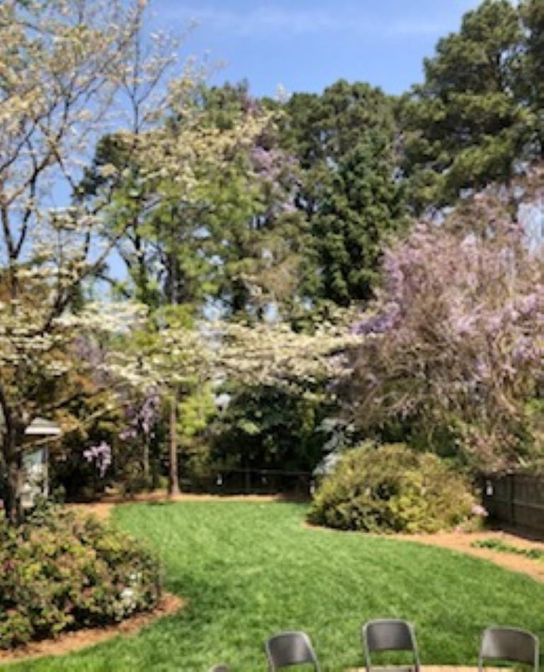 809 Young Street Raleigh, NC 27608 - Photo 32 of 35 back yard view in spring