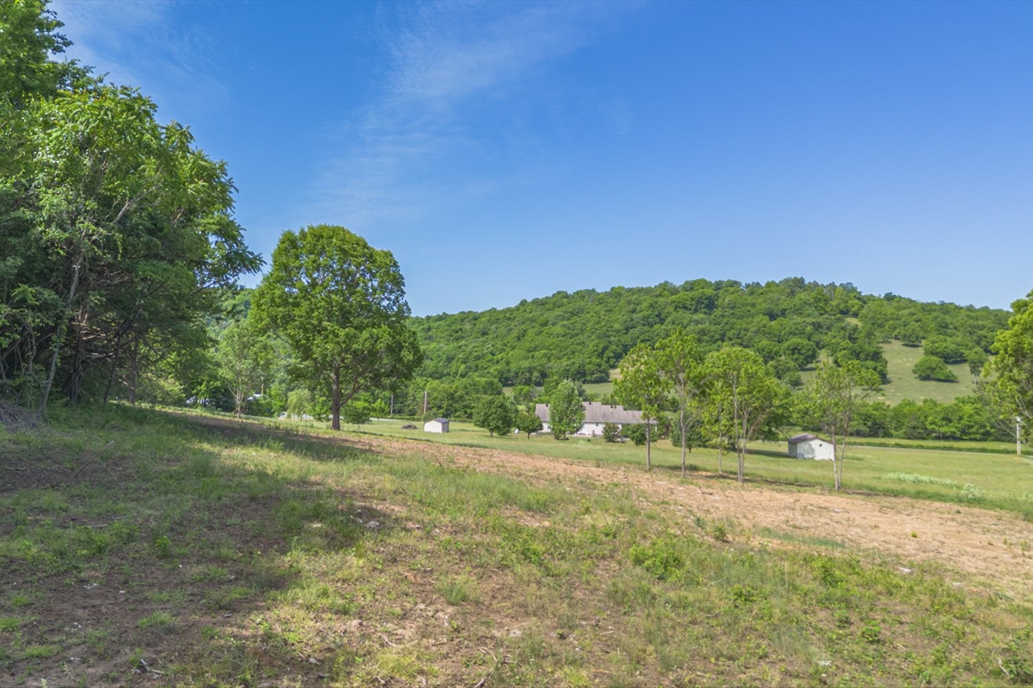402 Cortner Hollow Road Petersburg, TN 37144 - Photo 7 of 54